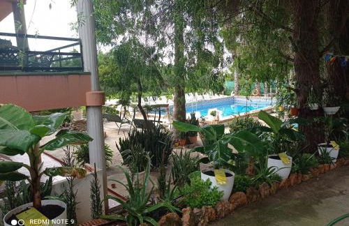 Casa Rural COMPLEX MASIA DEL TREMENDO y Agroturismo - Foto 1