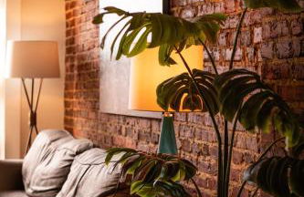 The Luxe Loft Knoxville - Foto 14