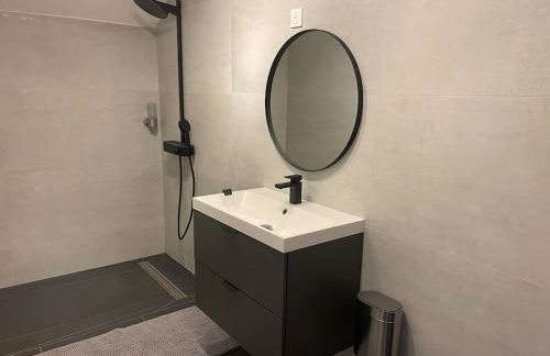 Full House, Jacuzzi, Netflix, 8 pers, free Parking 10' Colmar - Foto 8