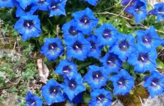 Apartment Palmgarten by Interhome - Foto 19