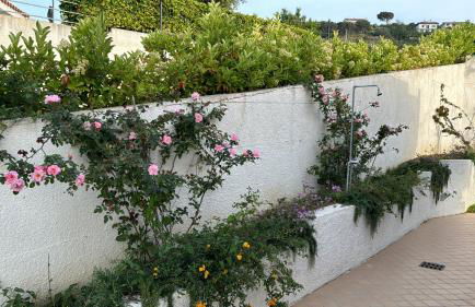 Villa Dei Fiori Zambrone - Foto 44