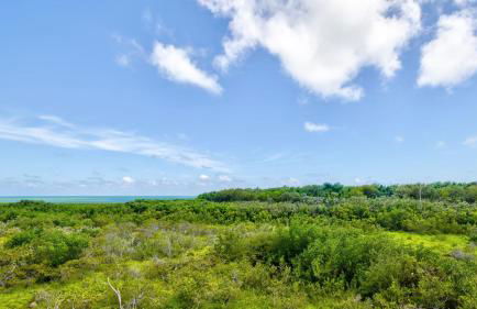 Nauti Hideaway Ocean Pointe 2314 - Foto 27