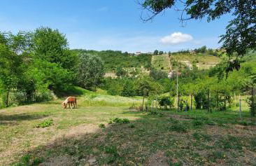 Agriturismo Il Burlino Apartments - Foto 16