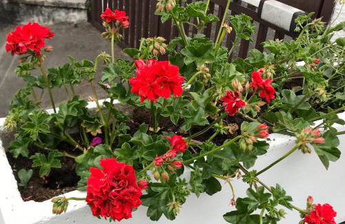 Aquarius Rome Apartments - Photo 11