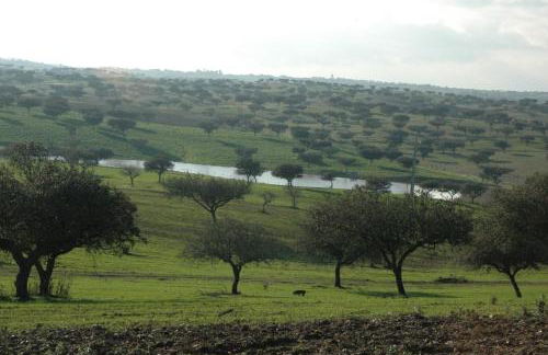 Herdade do Monte Outeiro - Turismo Rural - Foto 14