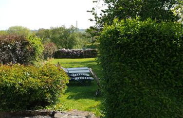 Les Clématites - Foto 14