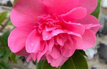 Chillout!! Sussex Flint Cottage- HotTub - Goodwood - Foto 16