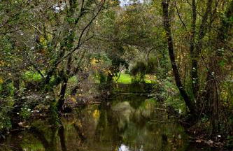 Quinta de Mourães - Casa do Xisto - Foto 18