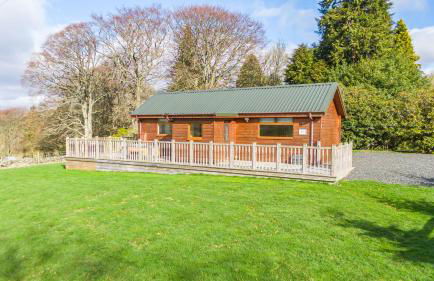 Pine Marten Lodge with Hot Tub - Foto 2