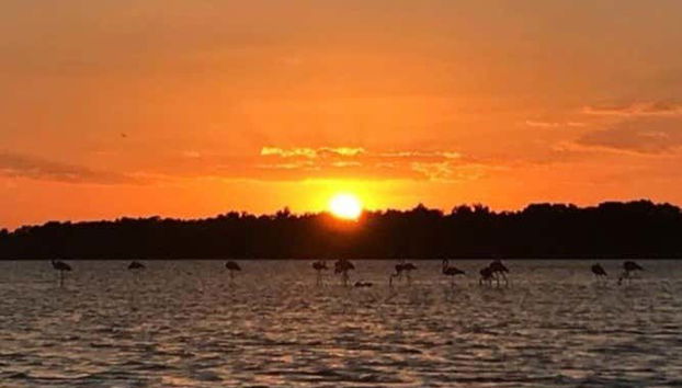 Sunset Cruise - Foto 5