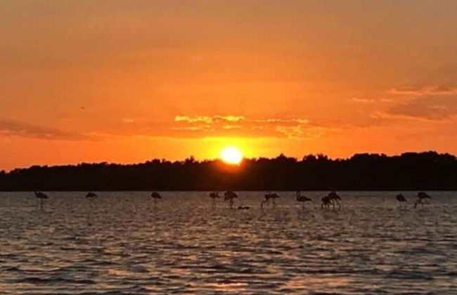 Paseo en barco al atardecer - Foto 5