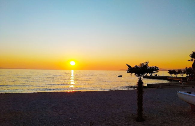 Villa Pinocchio - Foto 68