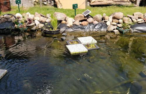 Gästehaus am Teich - Foto 48