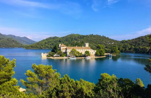 Apartment & Studio Mali Bulo - Photo 36