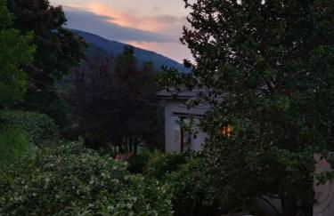 Isabel Artemis - Foto 26