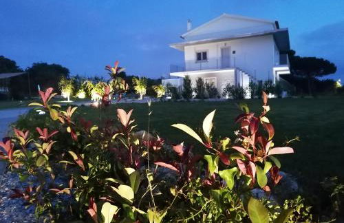 PÉROLA D'ÓBIDOS t1 - Foto 16