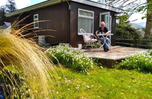 Sea Moss Cabin - Foto 33