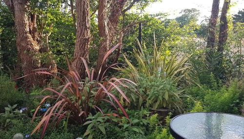 Lauriston Stay - Foto 3, Garden view