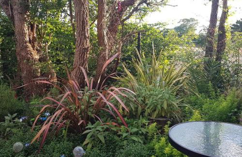 Lauriston Stay - Foto 3