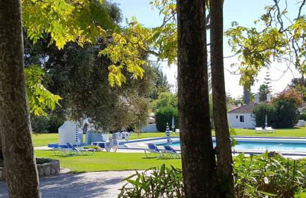 Pedras D'el Rei - Relax Estúdio - Foto 14