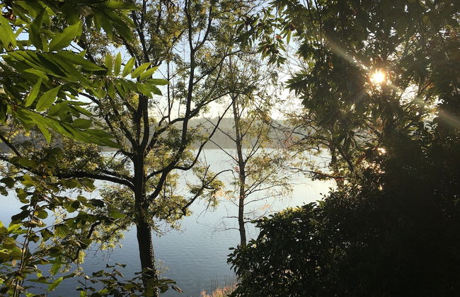 Brusisch 1638 - Photo 41