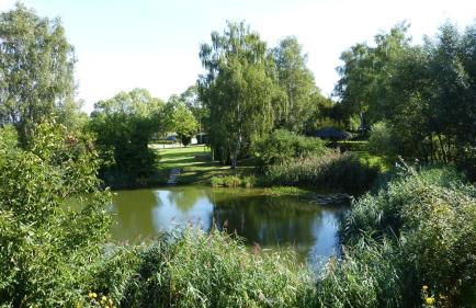 Mini-1-Raum-Apartment mit eigenem Eingang - Foto 3