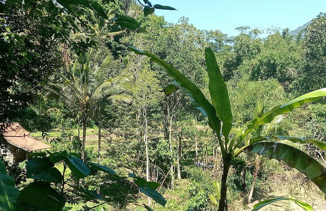 duegoal farmhouse - Photo 31