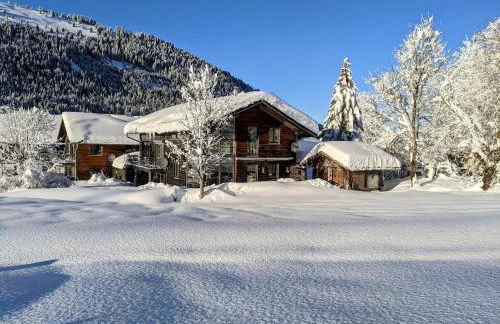 Ferienwohnungen Nachbaur - Foto 69