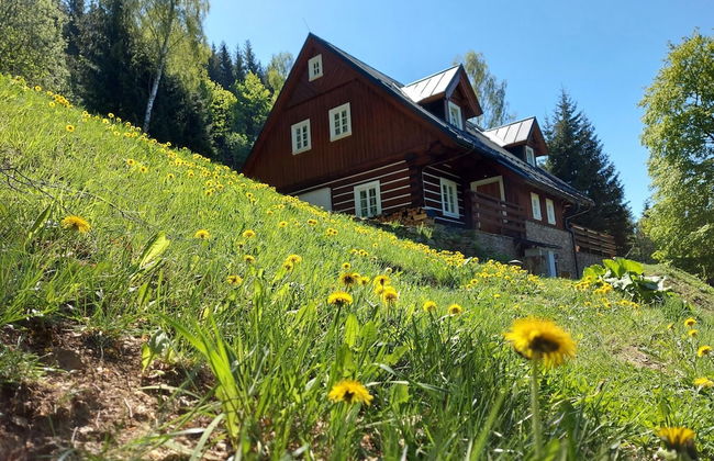 Rokytnice Krm450 in Rokytnice nad Jizerou - Foto 40