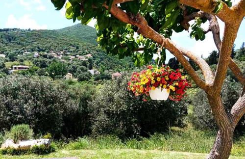 Lily Home_Lefkada ~ Private Country house - Foto 73
