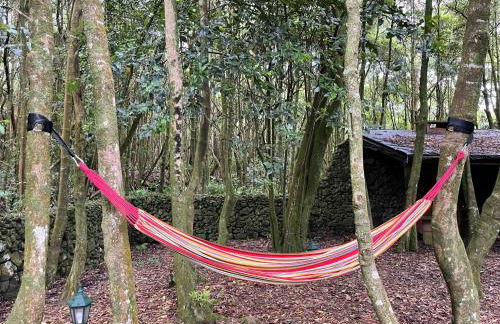 Azores Casa da Mata wellness Spa - Photo 38