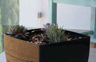 Apartamento Quinta Nova - Foto 20