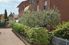 La vie en rose - Foto 9