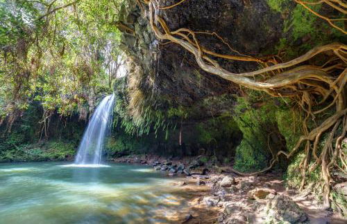 Beautiful Condo at Kihei Ali'i Kai, Close to Beach - Foto 110