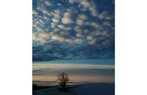 Holiday apartment Bräu - Foto 30