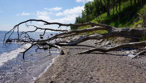 Ferienbauernhof Liesenberg Obstwiesenhaus Birnenbaum - Foto 3