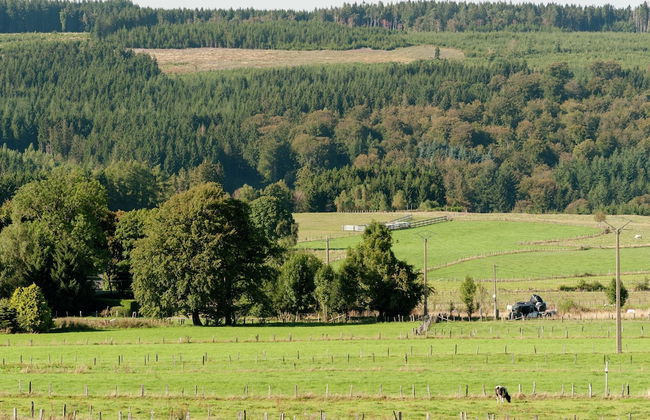 Chalet in Fraiture With Sauna and Garden - Foto 34