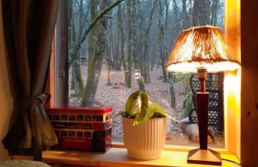 Le gîte de la cabane de l'oiseau - Foto 16