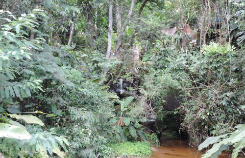 Casa Orquídeas Ubatuba Praia da Lagoinha - Foto 54