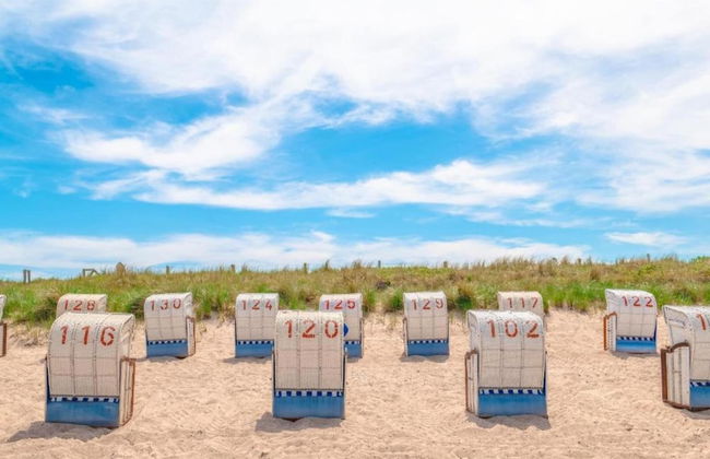 Elegant Holiday Home in Kröpelin near Horse Riding - Photo 33