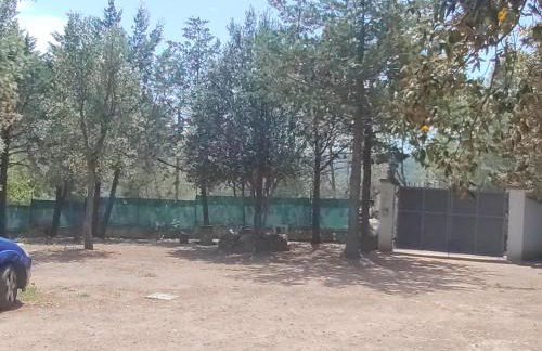 Casa vacanze Berchida - Foto 20