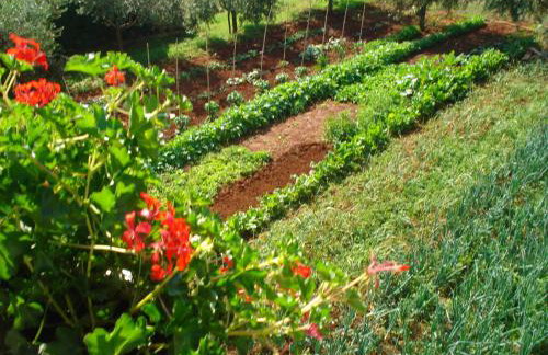 Apartments Jasna - Photo 36