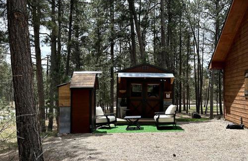 Quaint Rustic Cabin Surrounded by Nature in Black Forest, Colorado - Foto 11