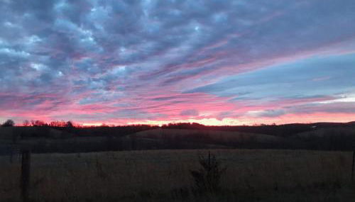 Cabin with a tree house on a buffalo farm . - Foto 2