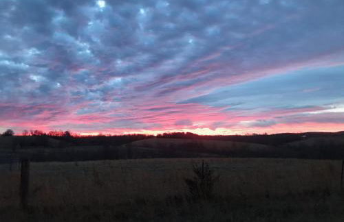 Cabin with a tree house on a buffalo farm . - Foto 2