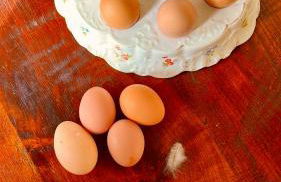 Manoir de La Barre Ceton - Foto 49