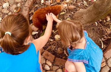 Quinta da Bizelga Cottages - Foto 37