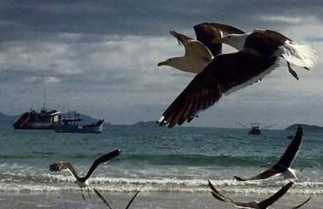 Residencial Franca Garopaba - Foto 10