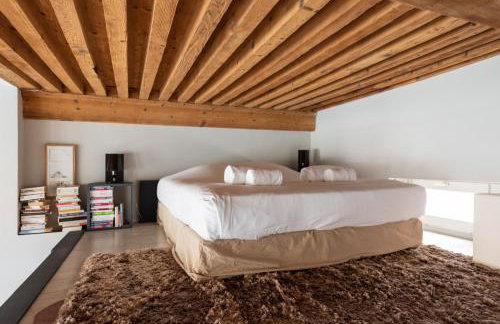 LE LOFT ETHNIC - avec jolie vue sur la Saône - Foto 2