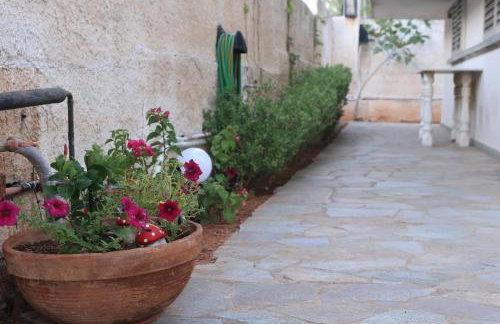 Secret Garden Home Lagonissi Attiki - Foto 47